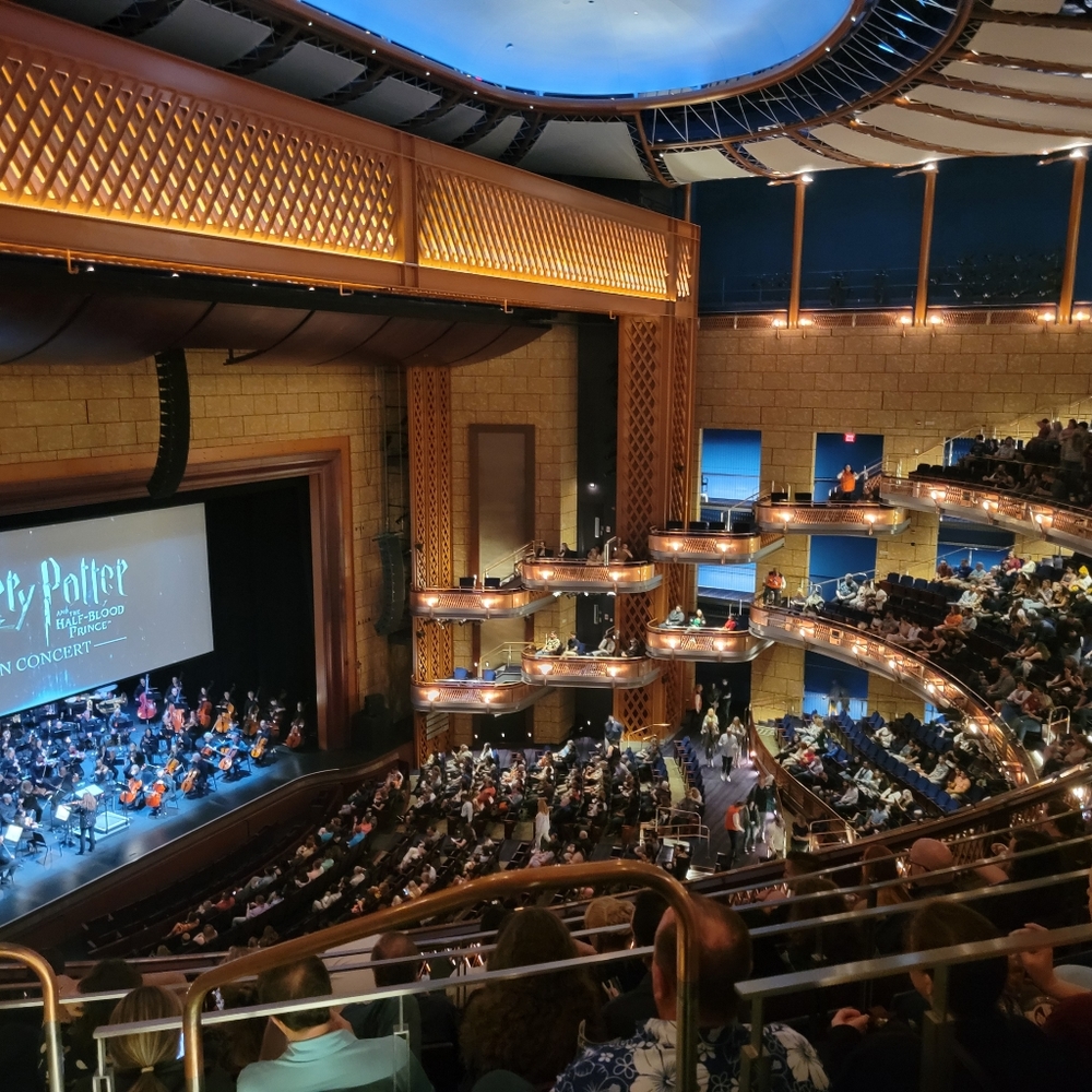 Meet your Posher, Paty